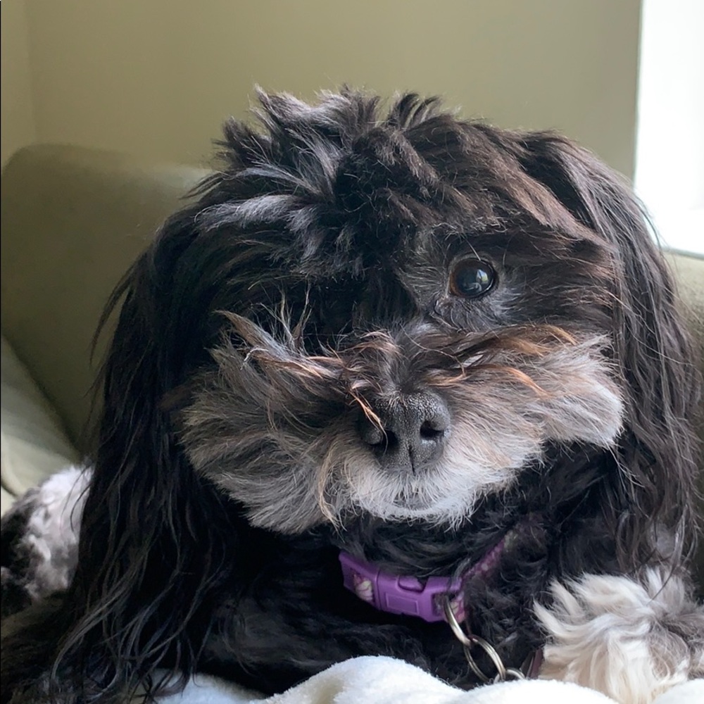 Meet your Posher, Kathy